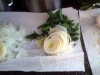 garlic onion leek